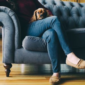stocksnap-couch-2590993_1920